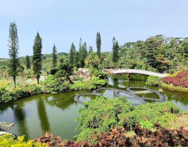 東南植物楽園 (車約20分)